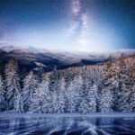 سبد خرید و پرداخت