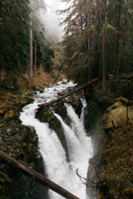 دانلود عکس آبشار در جنگل