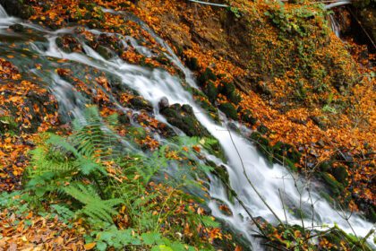 دانلود عکس آبشار در پارک ملی یدیگولر بولو ترکیه