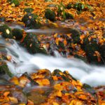 دانلود وکتور پس زمینه انتزاعی نیروی دریایی با لایه های شش ضلعی همپوشانی با نقطه های زرق و برق طلایی عنصر دکوراسیون مفهوم طراحی لوکس