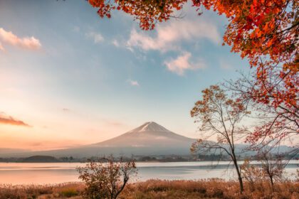 دانلود عکس کوه فوجی با برگ های افرا پوشیده شده در پاییز