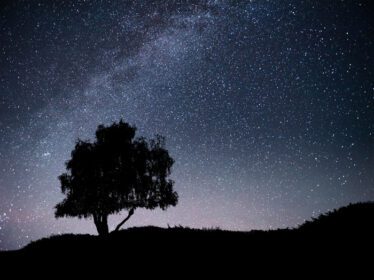 دانلود عکس منظره با آسمان پرستاره شب و شبح درخت روی