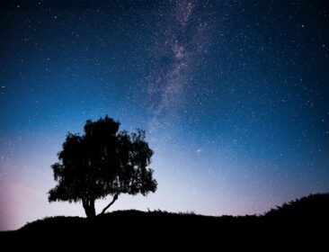 دانلود عکس منظره با آسمان پرستاره شب و شبح درخت روی