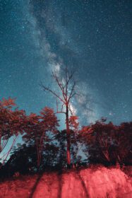 دانلود عکس راه شیری و ستاره های شب در مزارع