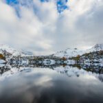 سبد خرید و پرداخت