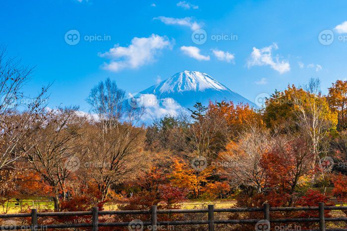 دانلود عکس mt fuji در ژاپن در پاییز