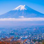 سبد خرید و پرداخت