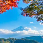 سبد خرید و پرداخت