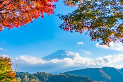 دانلود عکس کوه فوجی با درختان افرا در یاماناشی ژاپن