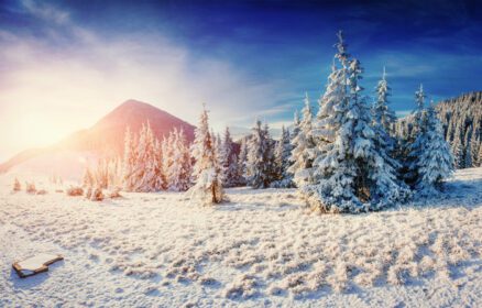 دانلود عکس منظره زمستانی فوق العاده در کوهستان