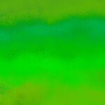 سبد خرید و پرداخت