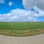 سبد خرید و پرداخت