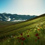 سبد خرید و پرداخت