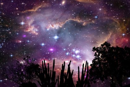 دانلود عکس سحابی در کهکشان بر روی درخت شبح در آسمان شب کوهستان
