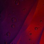 سبد خرید و پرداخت