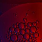 سبد خرید و پرداخت