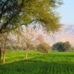 سبد خرید و پرداخت