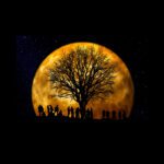 دانلود عکس پس زمینه کاغذ چروکیده آبی با بدون درز انتزاعی