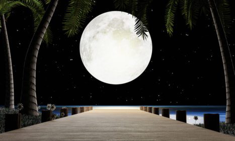 دانلود عکس شب ماه کامل ستاره های زیادی آسمان را پر می کنند یک پل چوبی