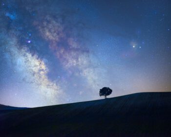 دانلود عکس مرکز کهکشانی کهکشان راه شیری با شبح درختی روی یک چمنزار