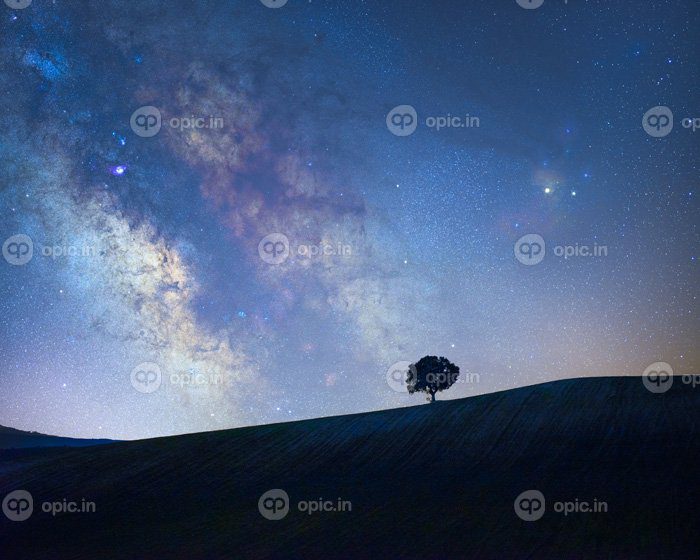 دانلود عکس مرکز کهکشانی کهکشان راه شیری با شبح درختی روی یک چمنزار