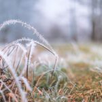 سبد خرید و پرداخت