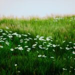 وکتور طرح تیشرت بلندگوی موسیقی