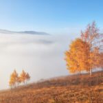 دانلود عکس بازیکن بازی بسکتبال در سالن ورزشی