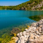 دانلود عکس از نزدیک عکس سر حیوان مارکور در باغ وحش