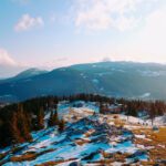 سبد خرید و پرداخت