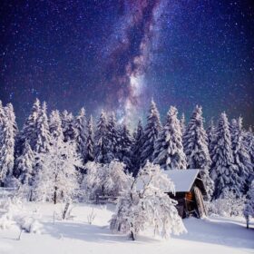 دانلود عکس آسمان پرستاره و درخت در یخبندان در زیبا