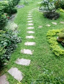دانلود عکس پیاده روی مسیر سنگی در باغ چمن سبز