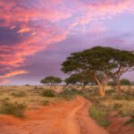 سبد خرید و پرداخت