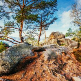 دانلود عکس سنگ بزرگ در منطقه جنگلی روز آفتابی فوق العاده