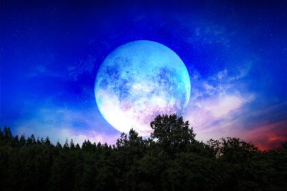دانلود عکس شبح درخت و ماه در فضای آبی نمایش شگفت انگیز از
