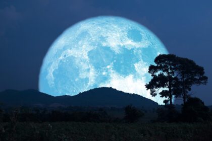 دانلود عکس فوق العاده ذرت کاشت ماه آبی طلوع پشت سیلوئت درخت و