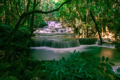 دانلود عکس جنگل های بارانی عمیق استوایی زیبا با نوردهی طولانی