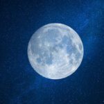 سبد خرید و پرداخت