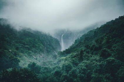 دانلود عکس جنگل سرسبز با آبشار در یک روز ابری