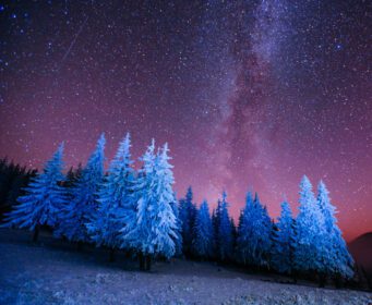 دانلود عکس درخت جادویی در شب پرستاره زمستان