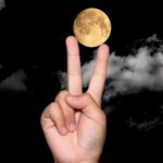 سبد خرید و پرداخت