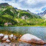 دانلود مجموعه وکتور الگوهای وکتور تصاویر زیبای پاییزی برای جلد بروشور پوستر کارت و موارد دیگر استفاده از سبک یکپارچهسازی با سیستمعامل مرسوم، مد روز