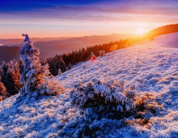 دانلود عکس غروب باشکوه خورشید در زمستان