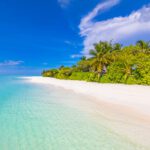 سبد خرید و پرداخت