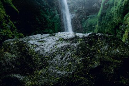دانلود عکس سنگ های خزه ای اطراف آبشار