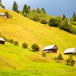 سبد خرید و پرداخت