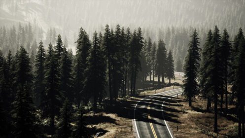 دانلود عکس نمای هوایی طبیعی در جاده و جنگل در فصل پاییز