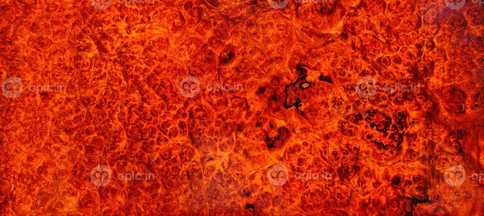 دانلود عکس برمه طبیعی padauk برل چوب راه راه چوبی زیبا است