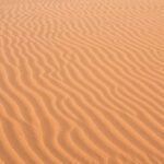 سبد خرید و پرداخت