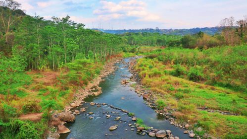 دانلود عکس مناظر طبیعی رودخانه در جنوب شرقی آسیا